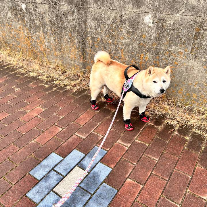 B6e1cf01 632b 422b 8b76 42ed4ea2cbfe 1736150893445