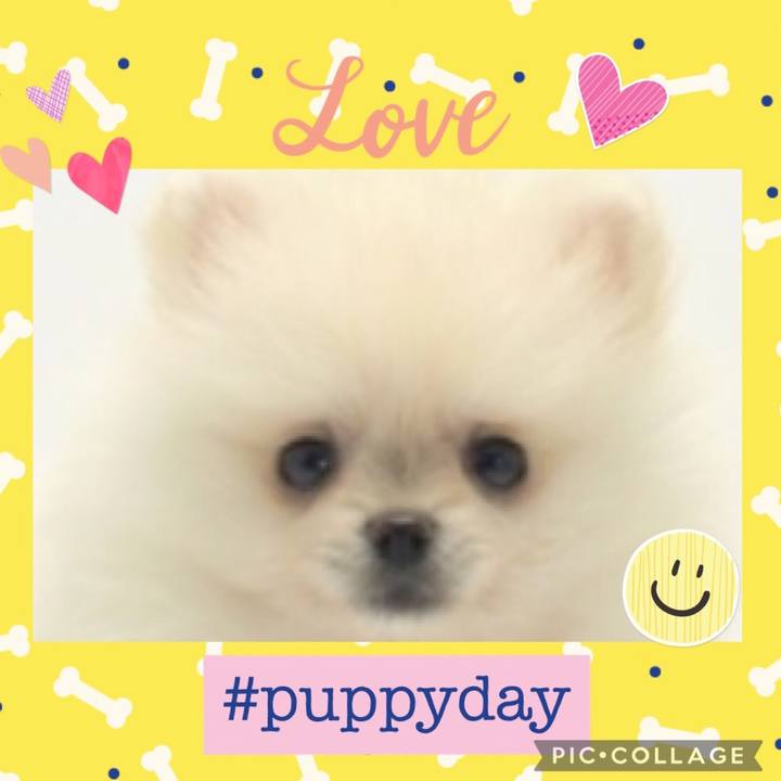 B6e1d88c c86c 44ca 8ab9 839209964dfd 1619239302046