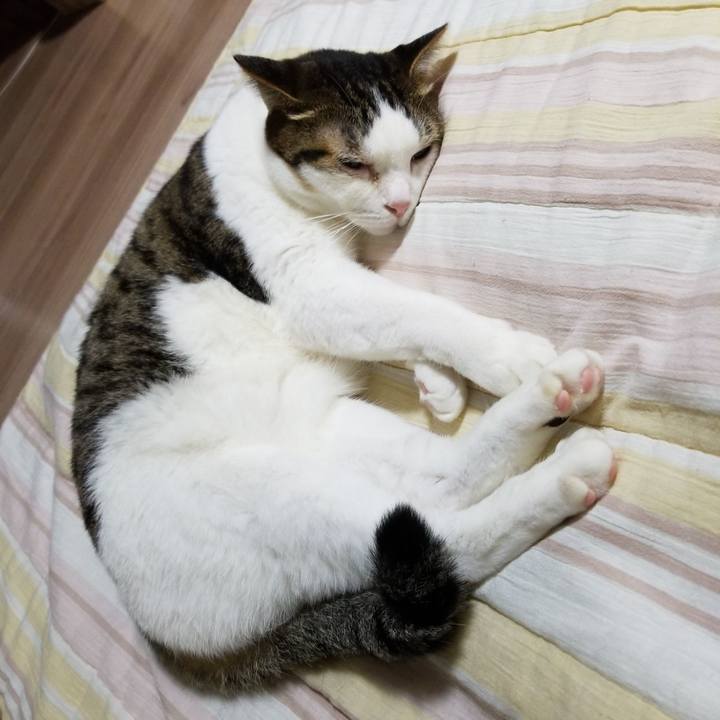 B6e1daf5 d249 488c 942c e44d75299473 1570276989278