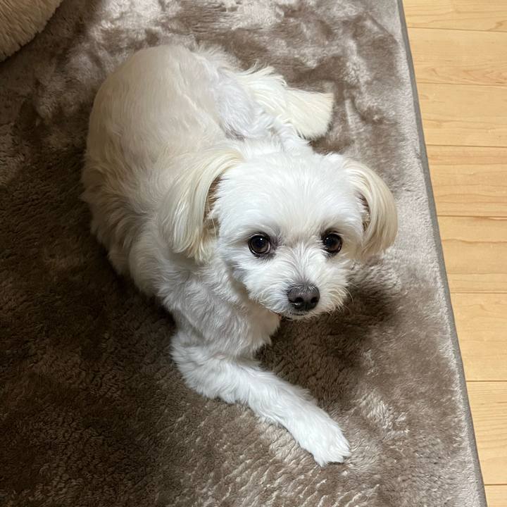 B6e1f790 48e7 4bb8 8a15 96974e95a029 1668516952780