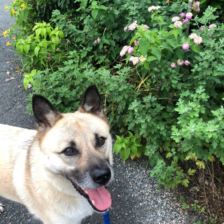 B6e21d39 b903 4a2b b9cb 235aff3c37ce 1595333545799