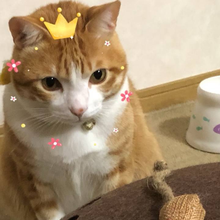 B6e25971 9b7f 4925 9f64 2b0b165c55ac 1577774103678