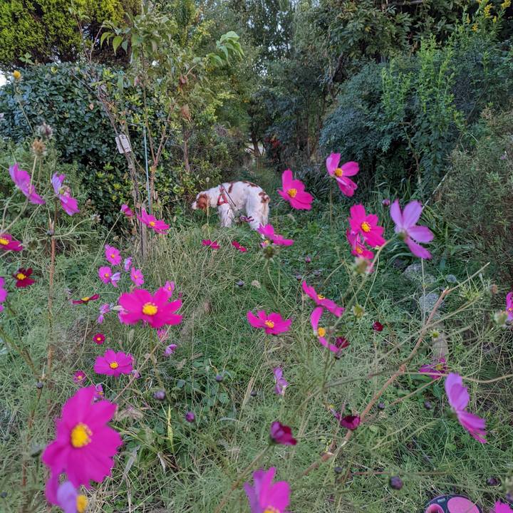 B6e26359 27b2 419c a422 3e7a5ca47552 1667906847989