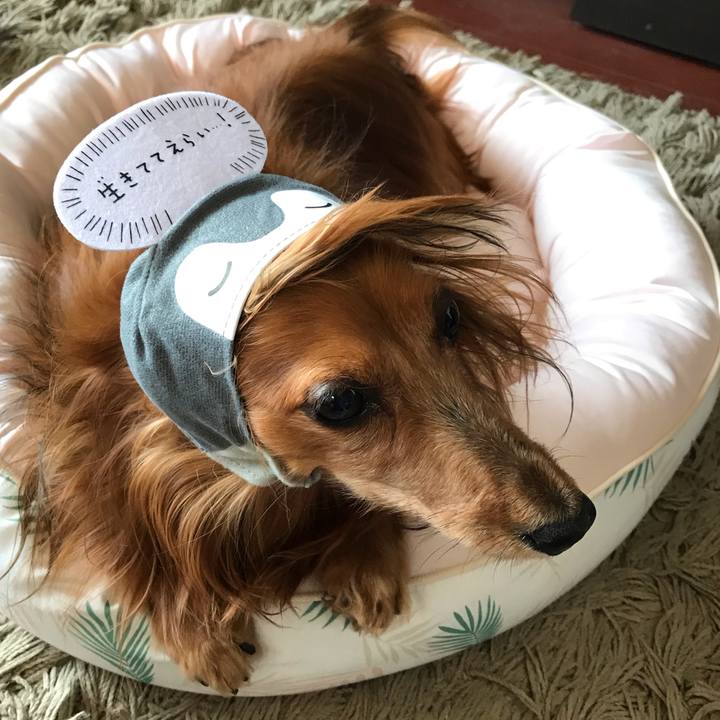 B6e279bd 7a70 4560 96c6 72767edcf8fb 1566105833139