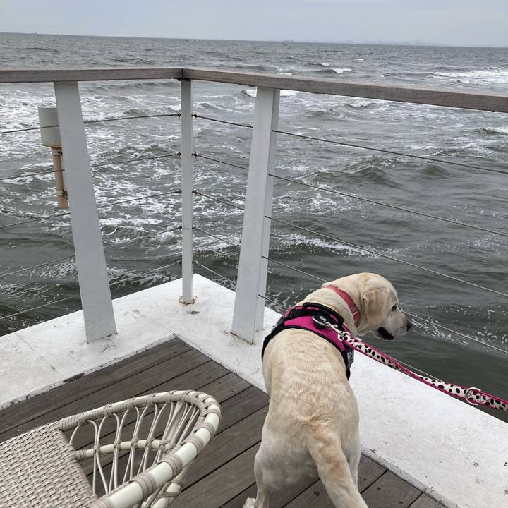 B6e28172 d8d6 4902 a029 23beaa40cada 1745184562662