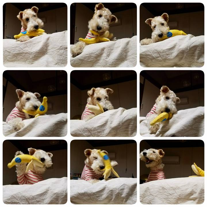 B6e2916a 2b98 41bd b6d3 ee2402c3802c 1516665529739