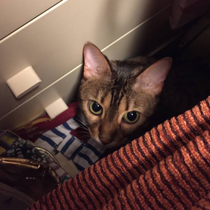 B6e29f77 9044 4c22 860c 606613241f37 1527556655739