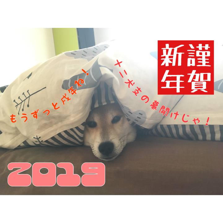 B6e2bc43 d897 4649 99cf 91e2f5bfbd06 1546351946319