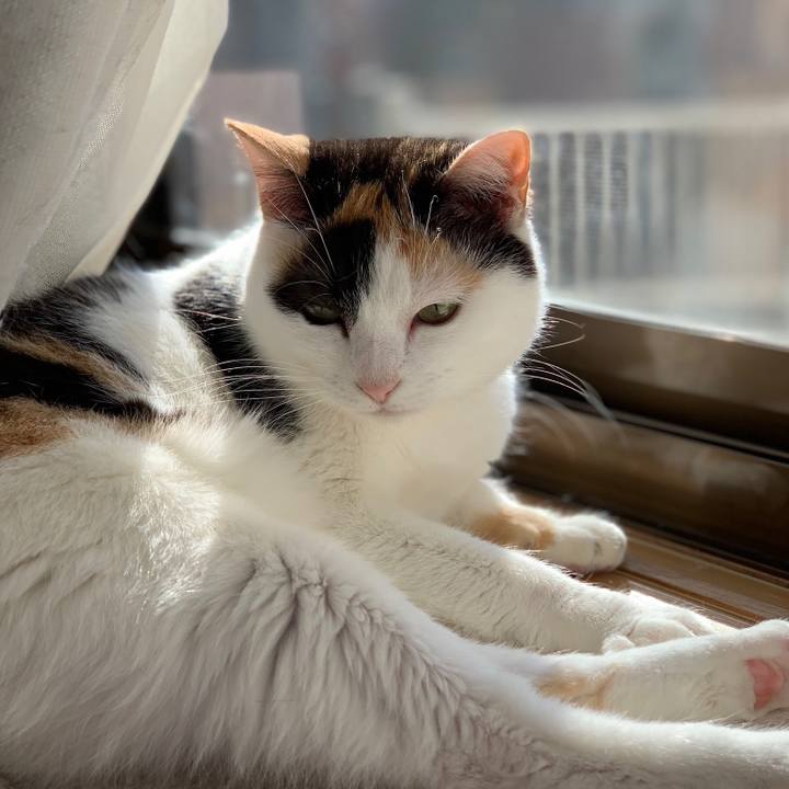 B6e2d387 4427 472a 8f90 90ee774fc596 1556156527586