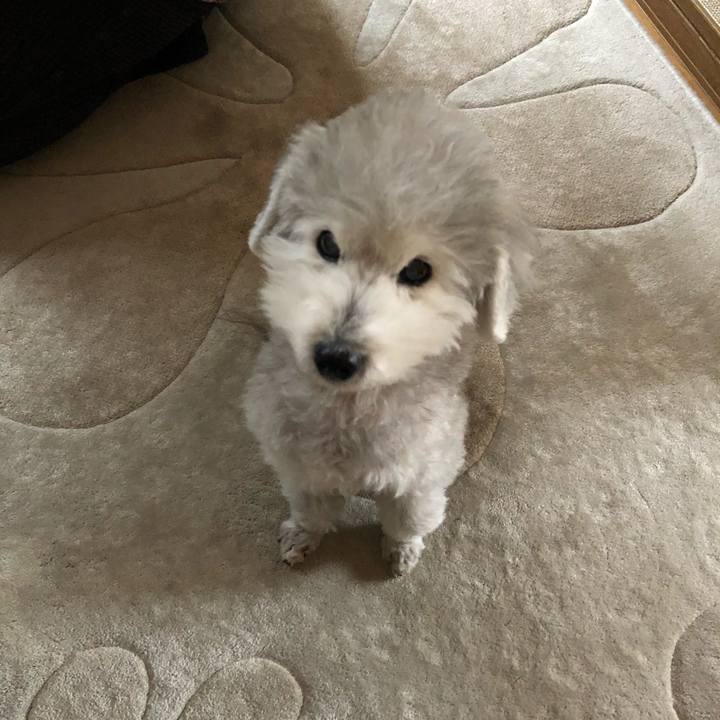 B6e300c8 f8de 4dbf a3b0 3998884012f9 1610704729692