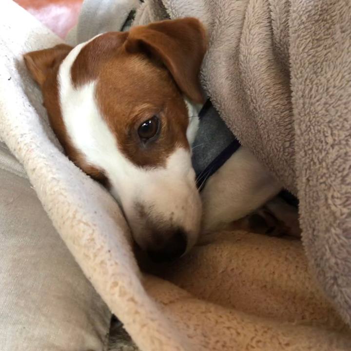 B6e3163e 91a8 448c a306 562108a5803a 1548236021272