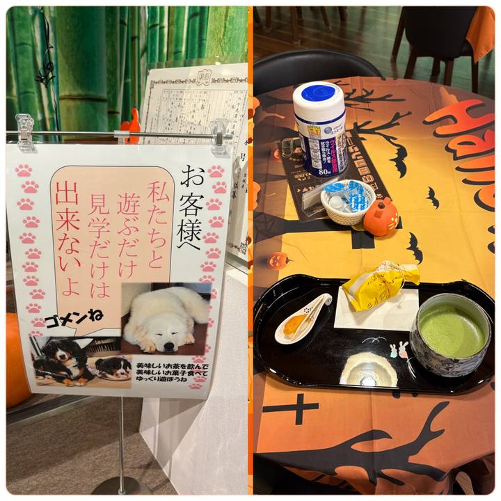 B6e323d7 c420 43ba 89b5 7ecec5b136a1 1761861244221