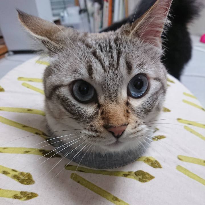 B6e35ff3 a476 4339 9fbd 2be3deb57b98 1561977285671