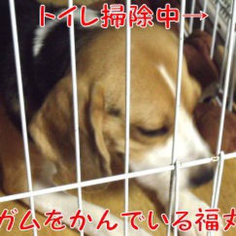 B6e3a83d 8bd5 4df7 a1a5 7332415ff2b1 1694129675612