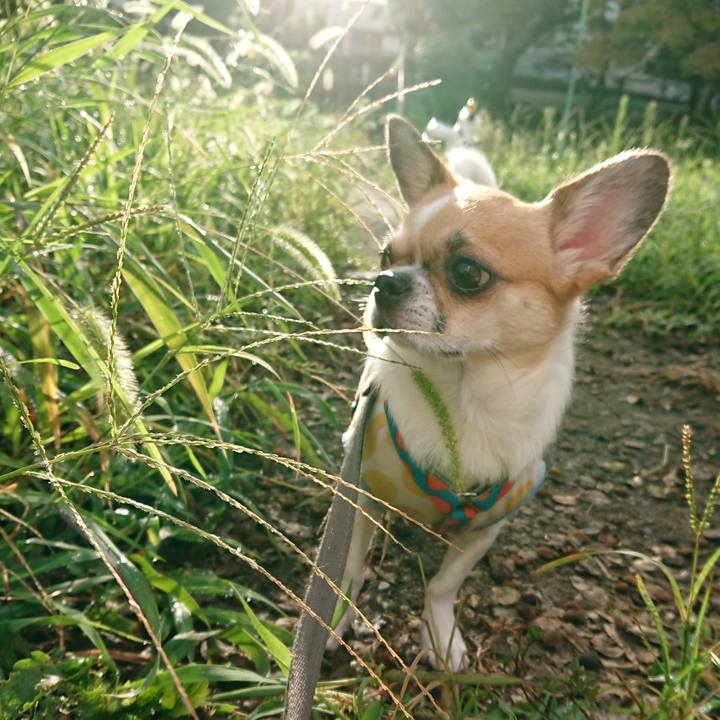 B6e3adf1 3353 4291 9402 4355adfab5f7 1599087377241