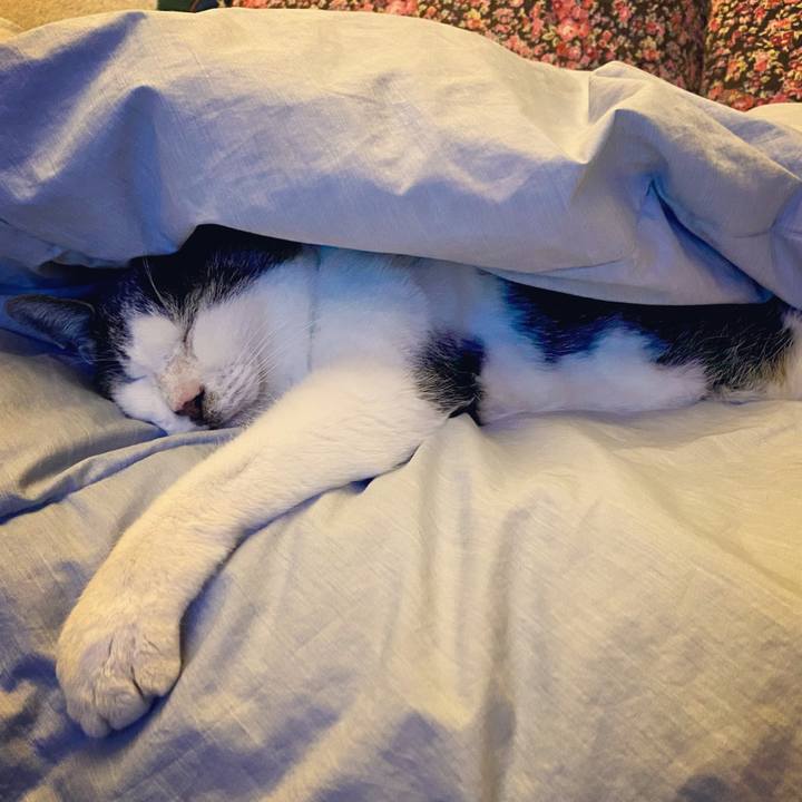 B6e3b7a9 d45e 4f90 83b9 b99749a4cf0d 1614164673689