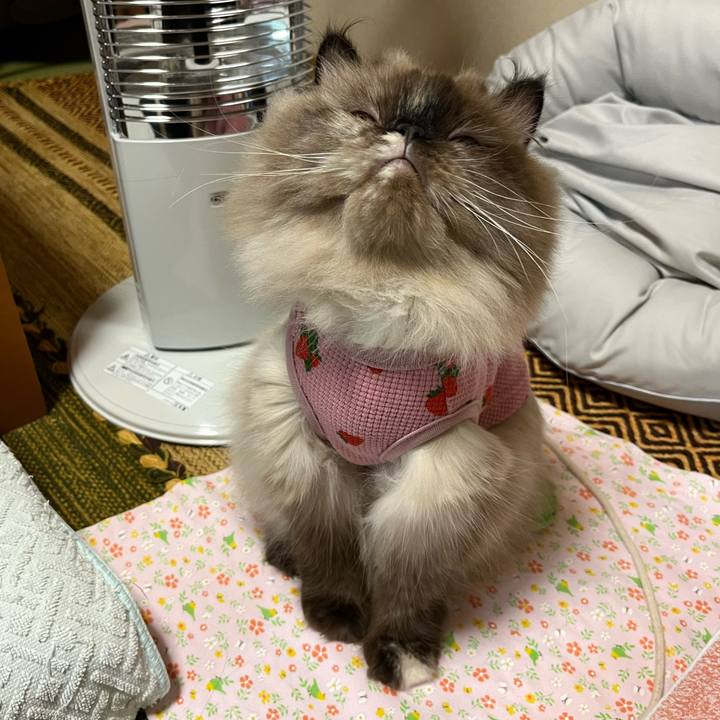 B6e3d357 5517 407c 92cc 4cc90af93b20 1665402167184