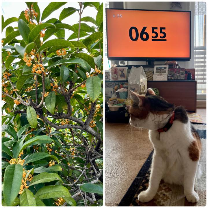 B6e3f28b 89cd 4ff8 b608 eadc01312b55 1697752671316