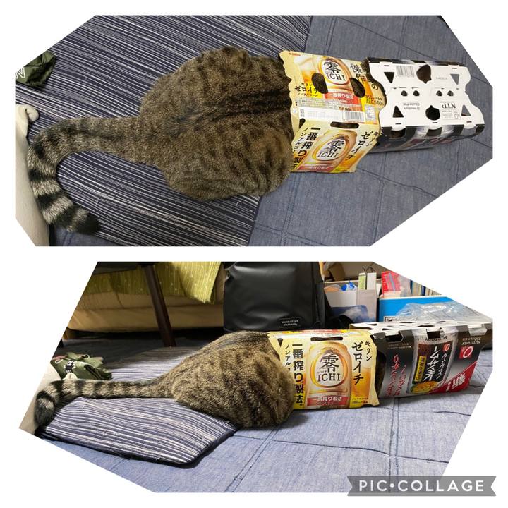 B6e4033b 7f68 4b34 9941 781a2f56348b 1659457055985