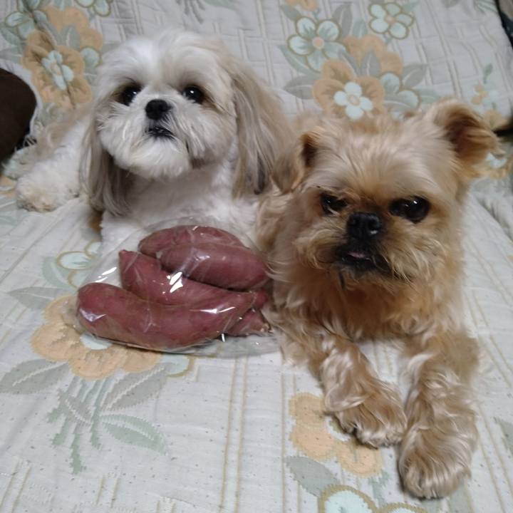 B6e41bcf 6d8f 4298 845f e9769330b807 1654646698129