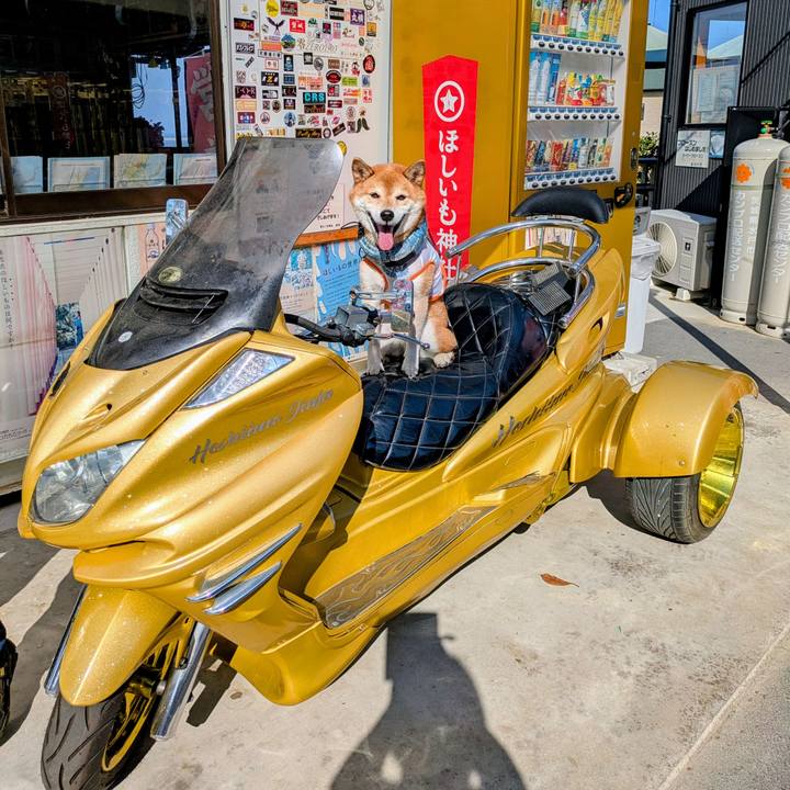 B6e44aa8 22dc 4f54 bbdf 5f15ba06d127 1757419984656