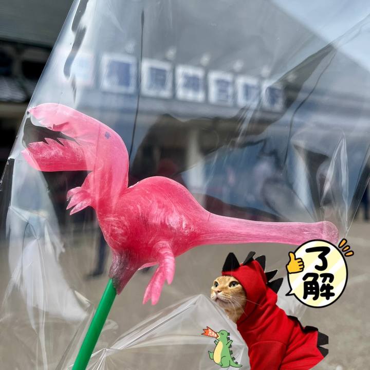 B6e45aa5 bfcd 4e2b 9f95 14fe30dedc1c 1672668610040