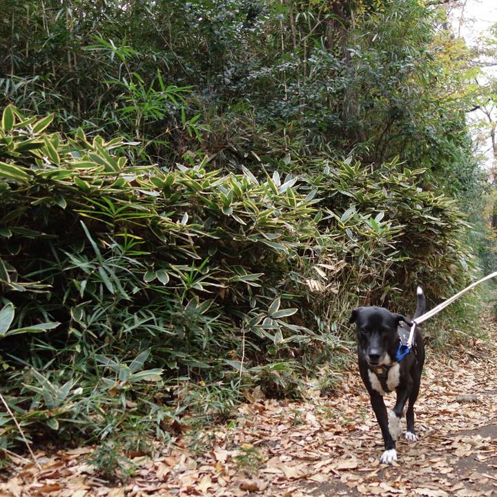 B6e4812f 0232 47b4 a08c d1cee5980ba3 1638748904474