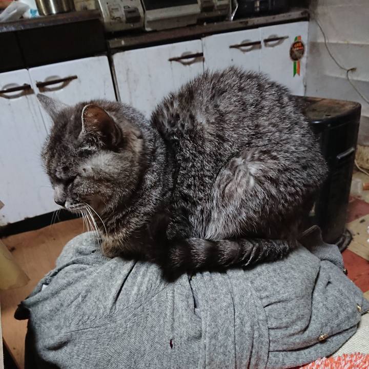 B6e48afb 6890 42f9 959d 514eb5384f24 1577519320000