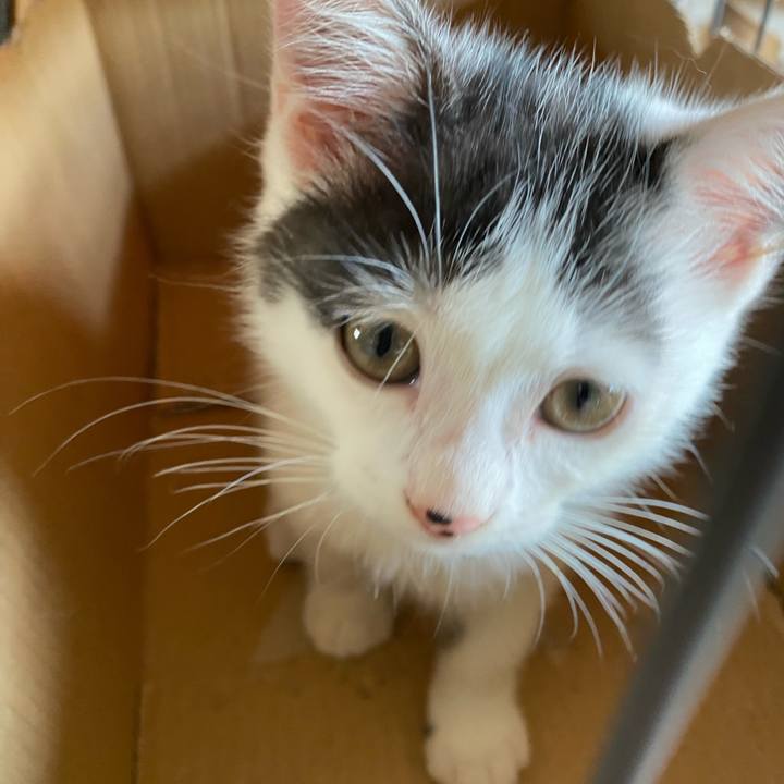 B6e494bd 153a 4a8b bfb8 22370cbc757f 1759373973155