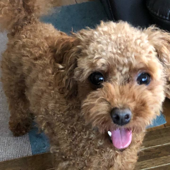 B6e4cda3 1d0a 4ce0 ab8f b3e4779fd6a0 1532159802378