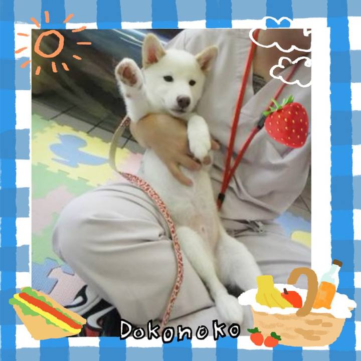 B6e4dd8f 874b 4103 9ac0 fc4d06010fa1 1744850641060