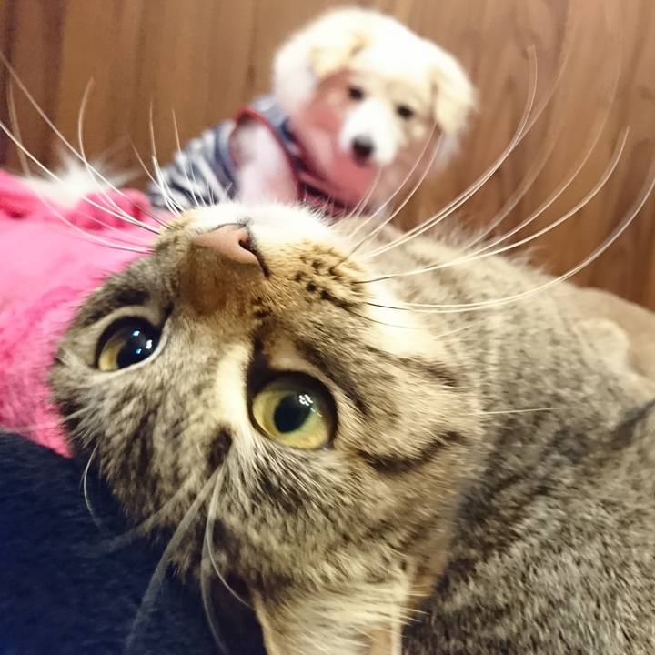 B6e4dec2 9539 4850 ab7d 87b0b4e4e418 1550247229713