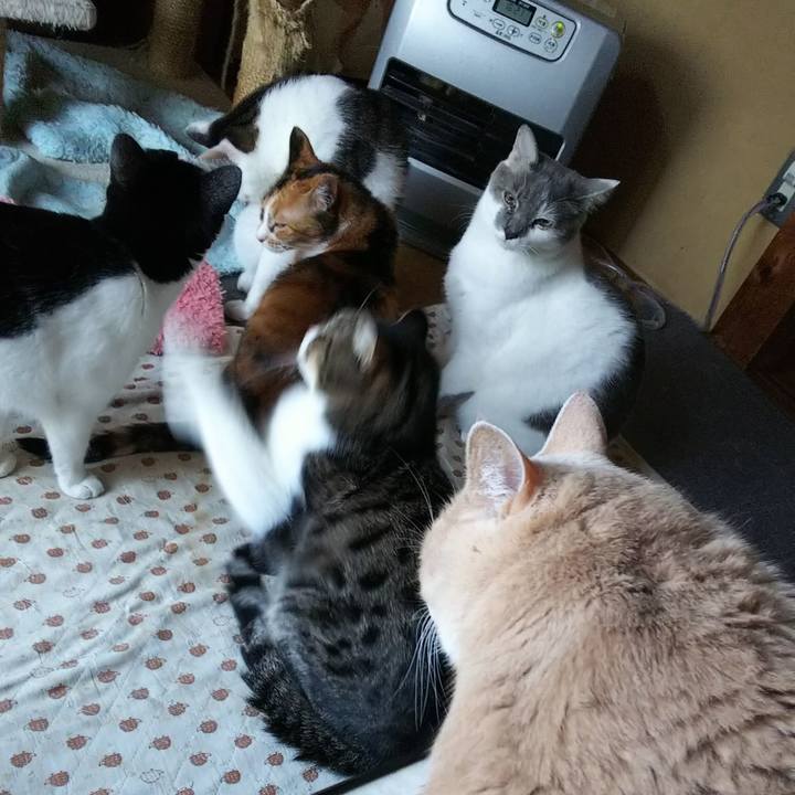 B6e4ebc1 2f15 48a3 b9b4 6e5ca7e805ee 1543688099182