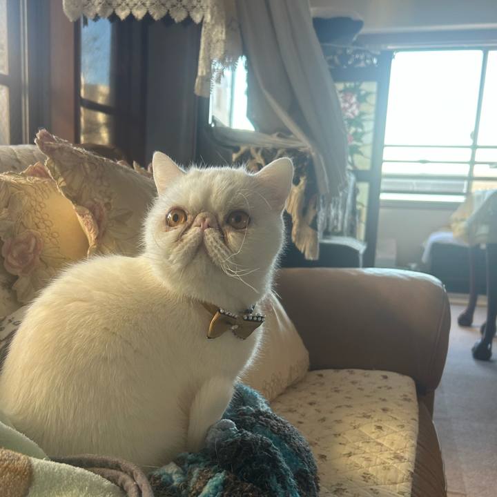 B6e4f0ac 8f12 4d4b 8eef 46b1f99c8585 1738911874252