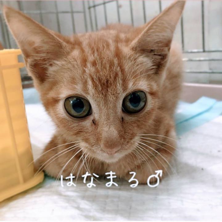 B6e519f0 bd06 4cd0 8b04 180b90b72106 1630043738577