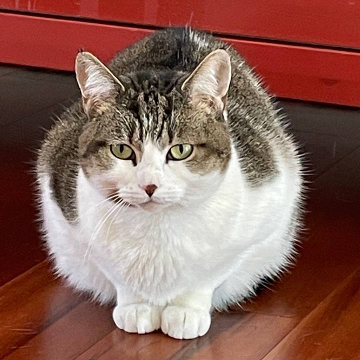 B6e54633 089d 4ef7 b480 98bb9be16db3 1769475688014