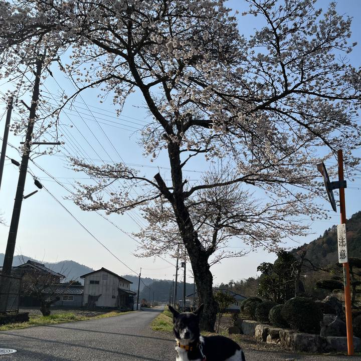 B6e5524b fd25 487d b9c1 465cf93c2eea 1680132551056