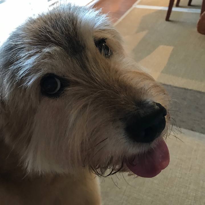 B6e58353 25b1 4105 872f 0f09012477be 1599879530859