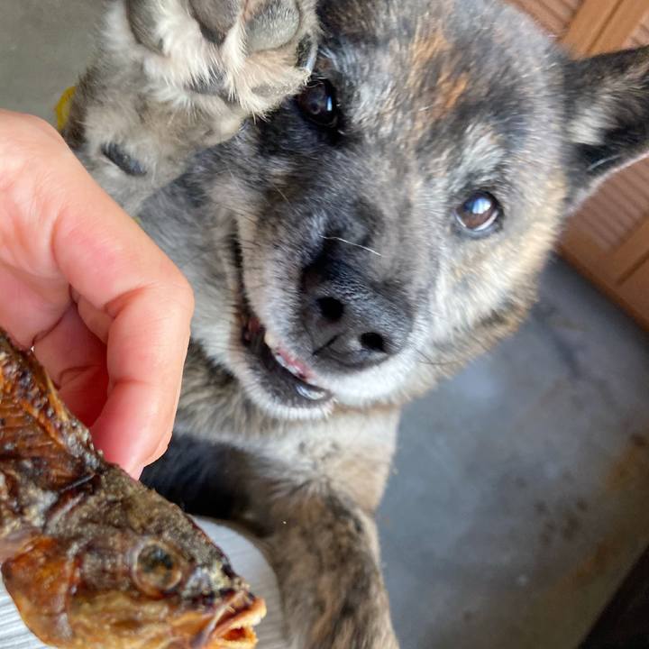 B6e5f6a8 4c5d 453c 8b4f ceb18bf01fe6 1623144527873