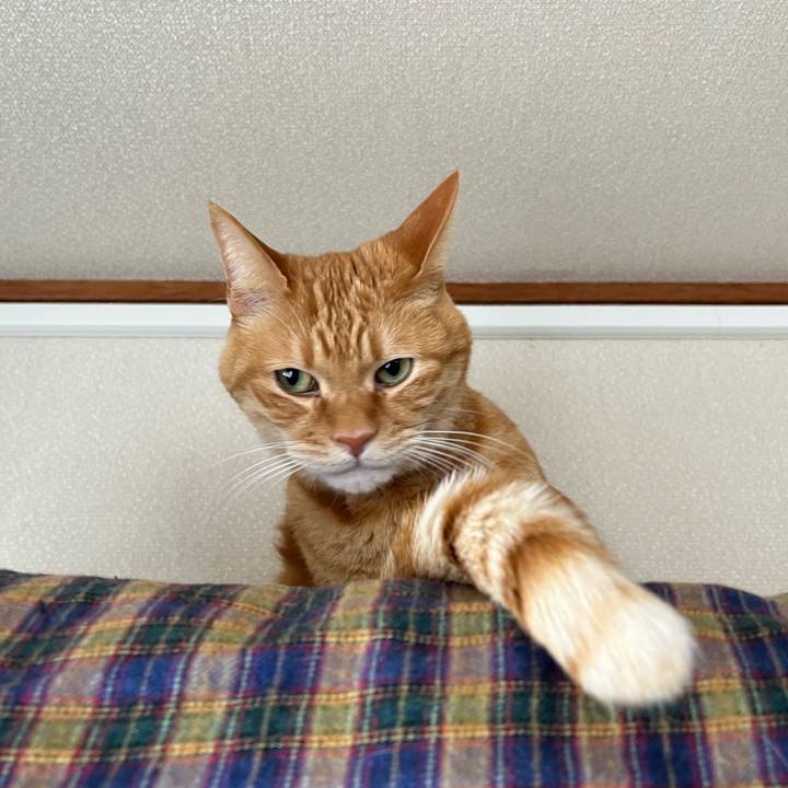 B6e6485b b620 4047 94e8 49d6ed7e95ca 1770961433493