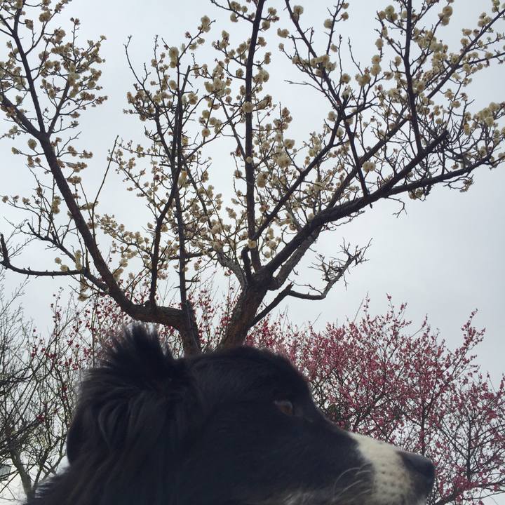 B6e6533e cb5f 43fd bfae 27aecf12647f 1549154230761