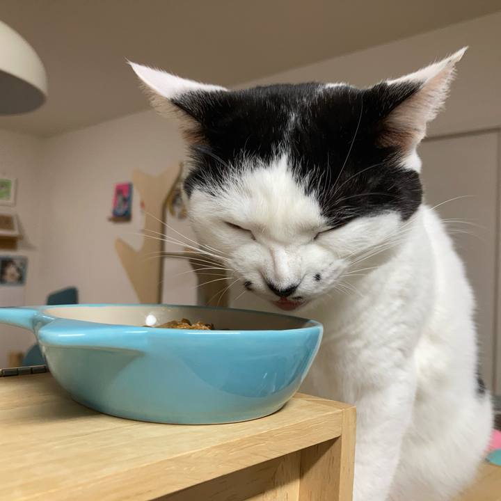 B6e65389 1480 47d0 9463 5015ed60f70f 1764276459464