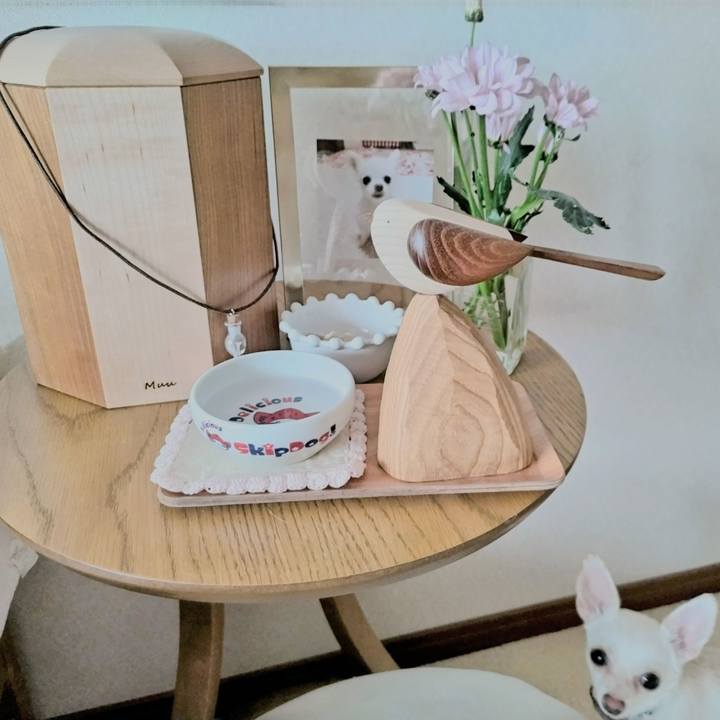 B6e6a28c 258c 431b 83b0 76dc4bdd611d 1723770658758