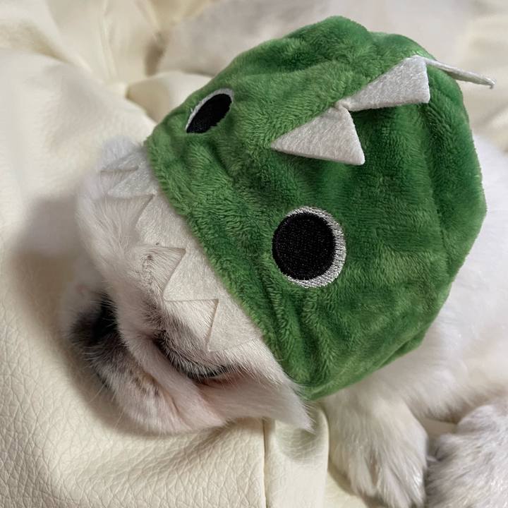 B6e6c265 534f 4e8f 9e01 44b23b6806fb 1660956096539