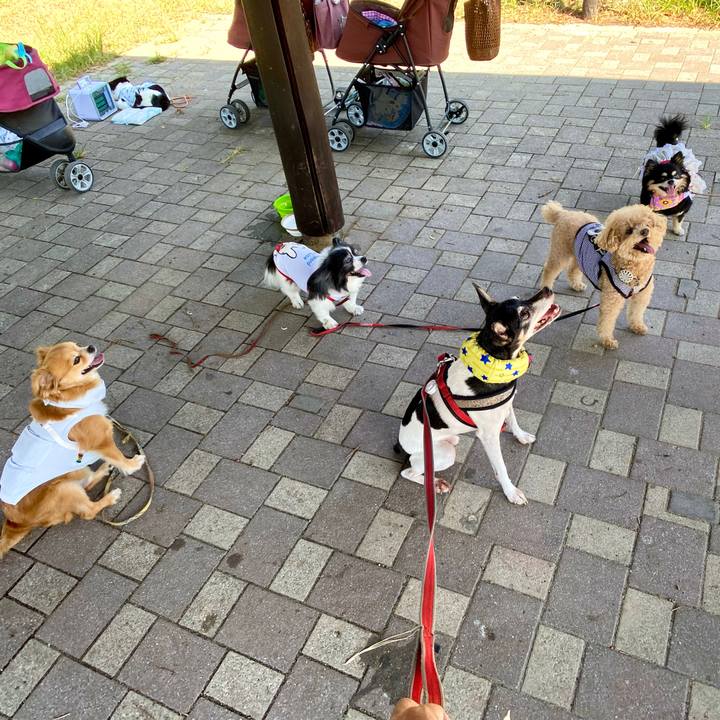 B6e6f05e bc15 42f6 ae84 65ff2df8db58 1598148023027