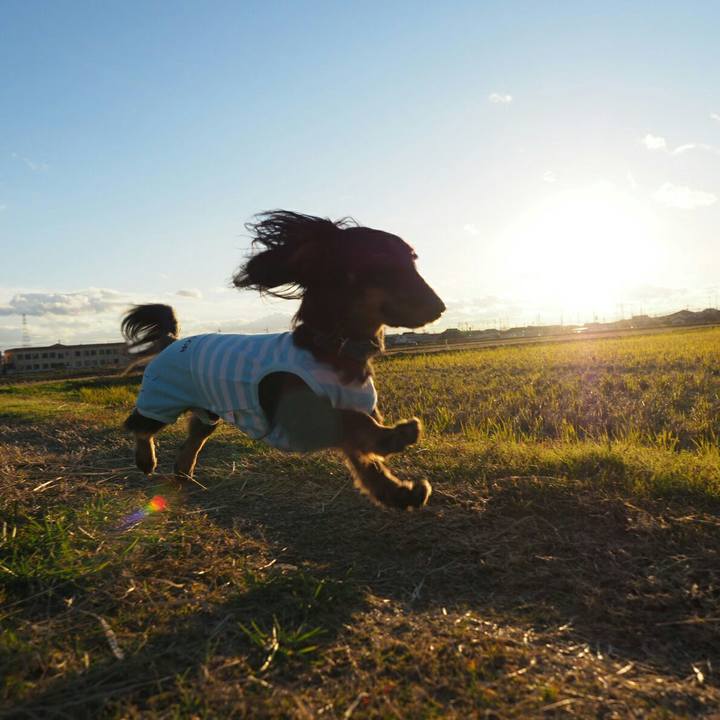 B6e70af2 3e8b 456a a643 a880922d48ef 1544687879732