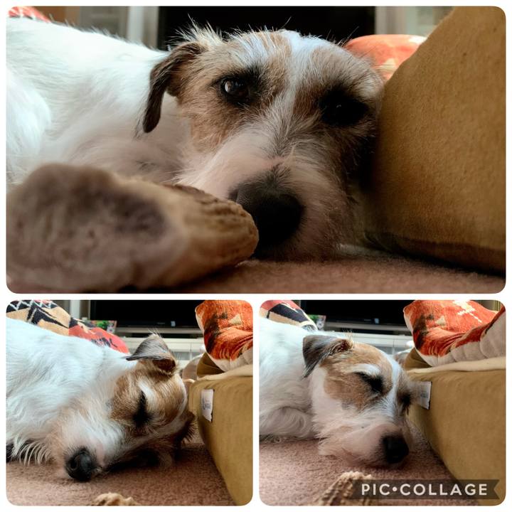 B6e714c9 4e72 48d2 bfc3 b1e48c6b5bee 1606290264031