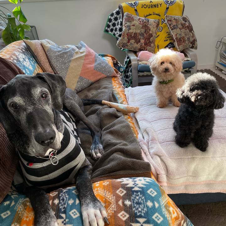 B6e734e8 4ac6 4e55 a696 c658a0585bc1 1639350019643