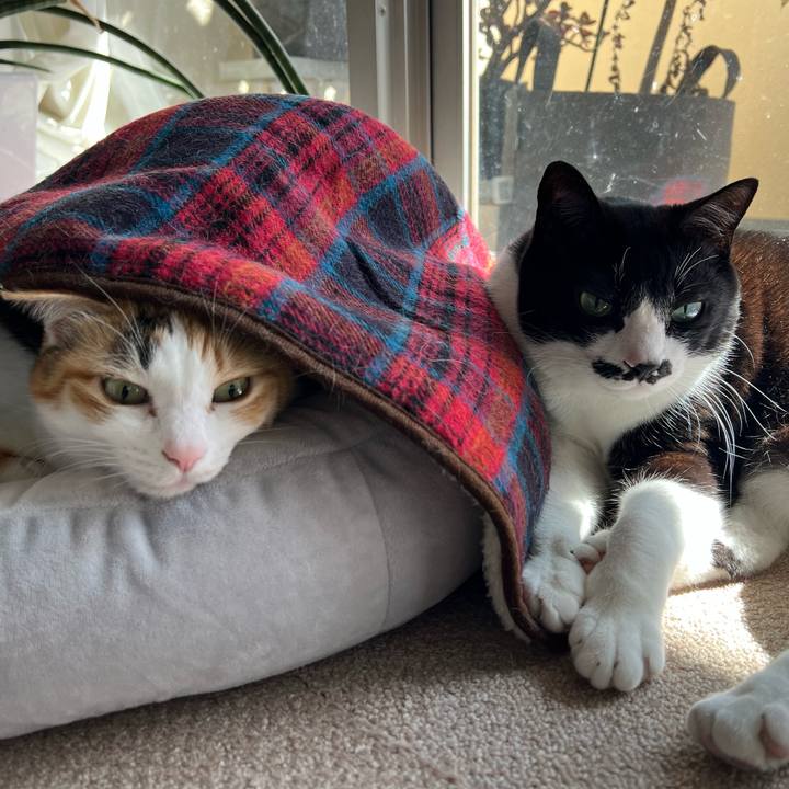 B6e7459a 25ec 4d1c a0d0 660e5592c568 1771642524785