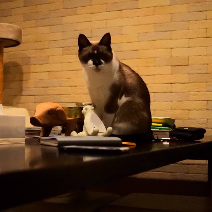 B6e74833 3c00 4082 8c02 5bf8bbdb6739 1535356406123